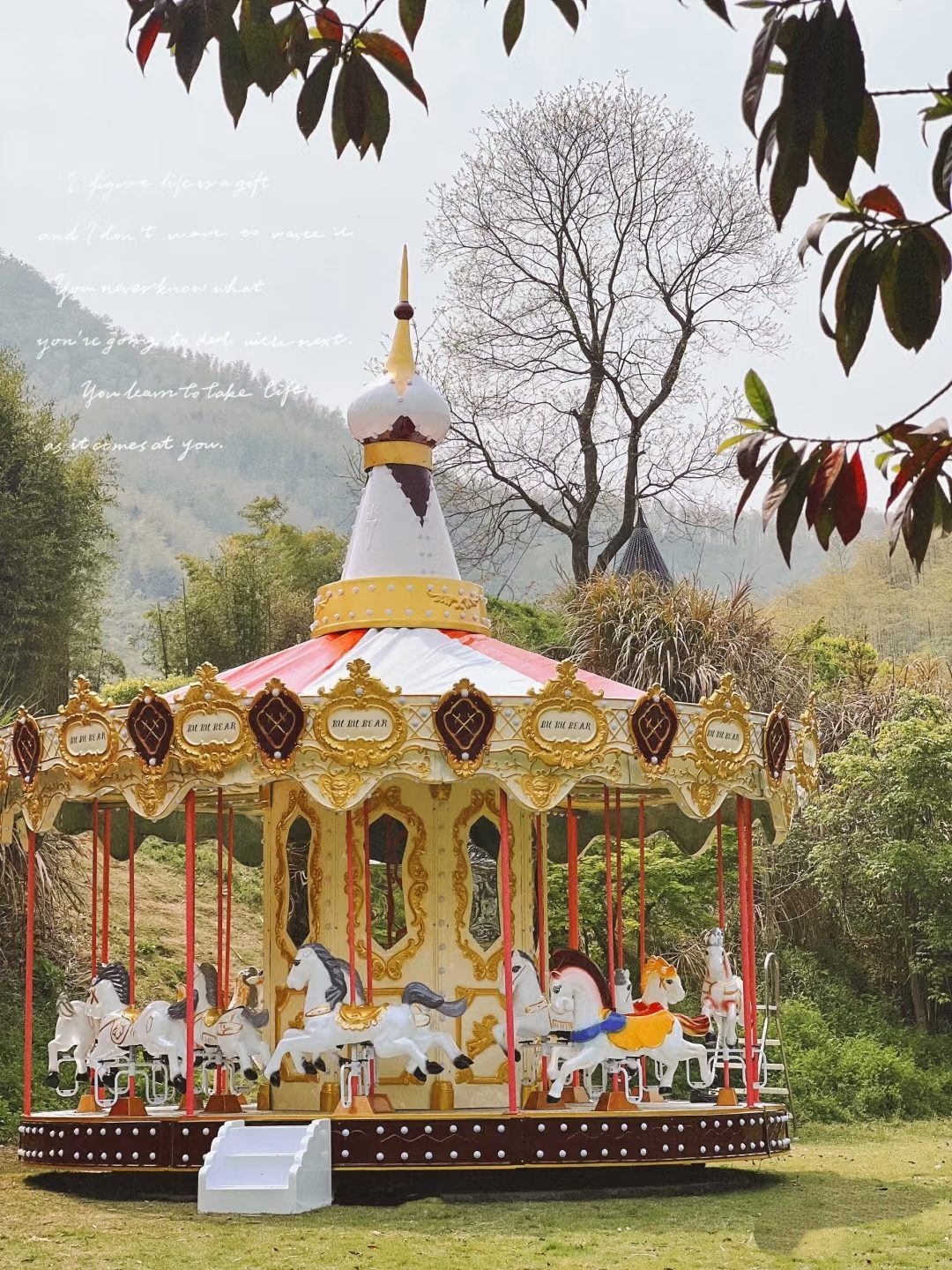 16-Seat Carousel view 3