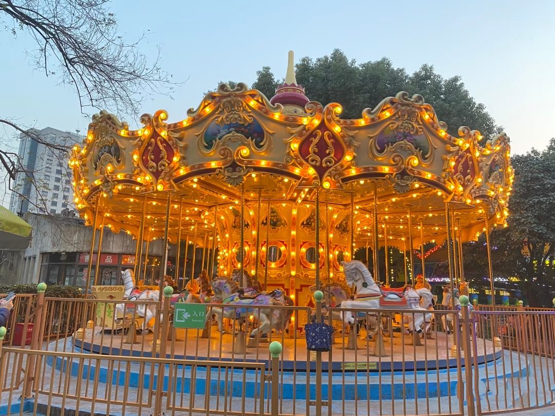 24-Seat Carousel view 6