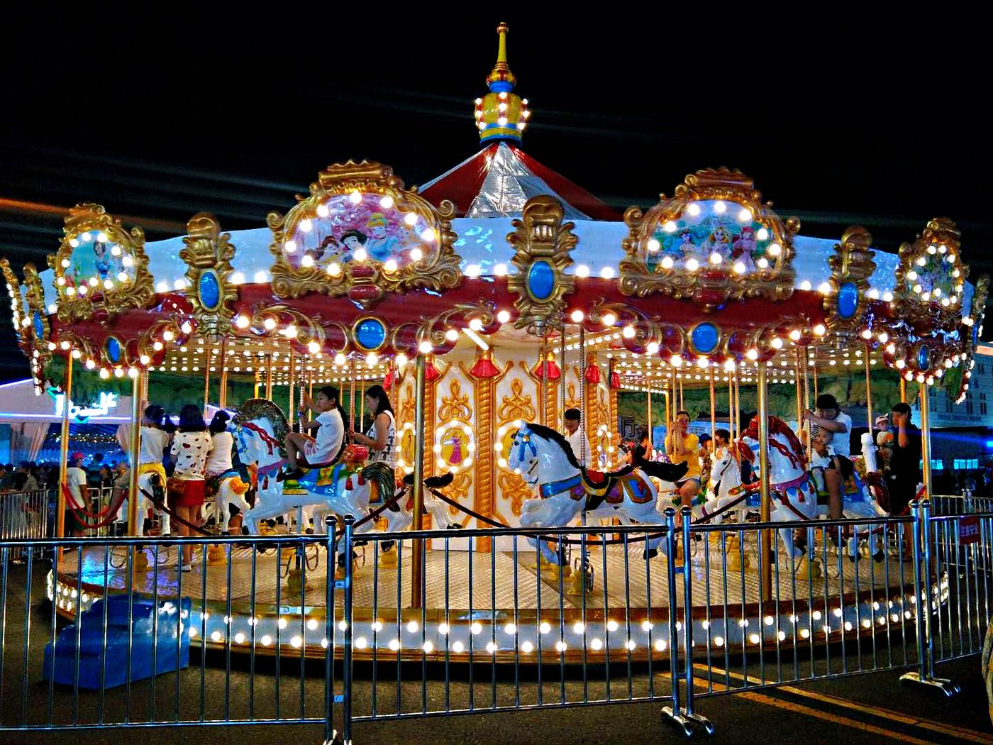 Large Carousel (Single-Deck) view 6